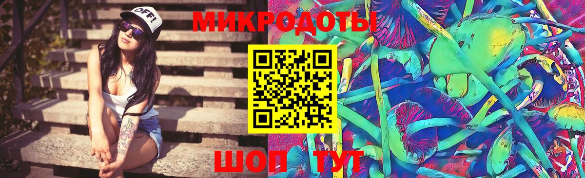 Звенигород  Галлюциногенные грибы Psilocybine cubensis  Вход с VPN 